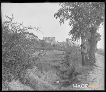 Panorama de l'abbaye de Montmajour (Arles)