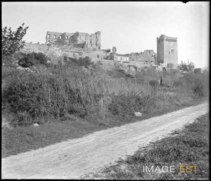 Panorama de l'abbaye de Montmajour (Arles)