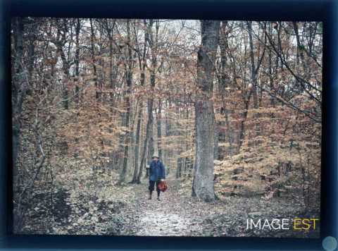Homme sur un sentier (Brin-sur-Seille)