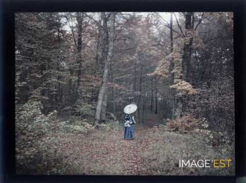Femme en forêt (Meurthe-et-Moselle)