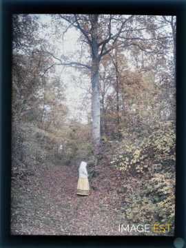 Femme en forêt (Meurthe-et-Moselle)