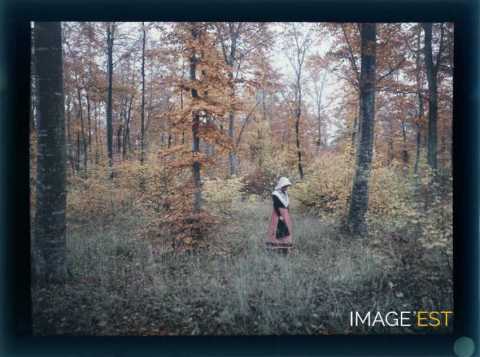 Femme en forêt (Meurthe-et-Moselle)