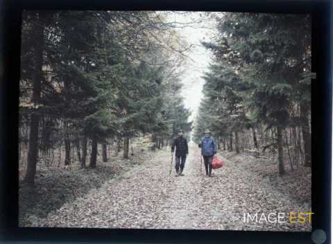 Promeneurs sur un sentier (Meurthe-et-Moselle)