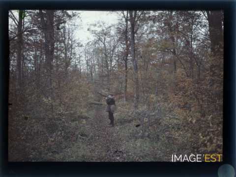 Chasseur en forêt (Meurthe-et-Moselle)