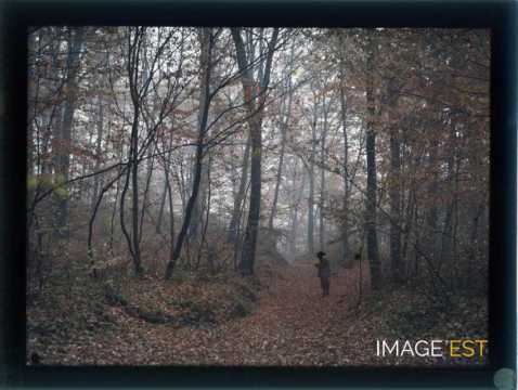 Chasseur en forêt (Brin-sur-Seille)