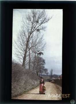 Femme sur une route (Meurthe-et-Moselle)