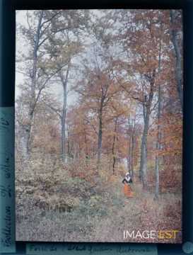 Femme en forêt (Pompey)