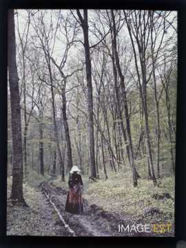 Femme en forêt (Meurthe-et-Moselle)