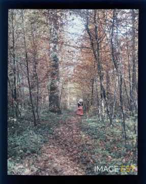 Femme en forêt (Meurthe-et-Moselle)
