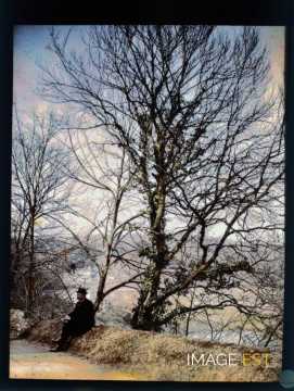 Homme assis (Meurthe-et-Moselle)