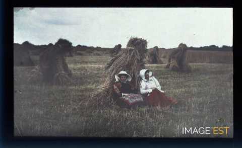 Femmes dans un champ (Meurthe-et-Moselle)