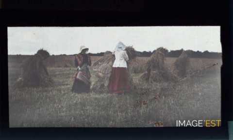 Ramasseuses de foin (Meurthe-et-Moselle)