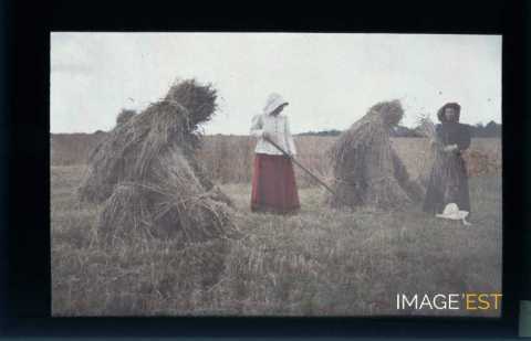 Ramasseuses de foin (Meurthe-et-Moselle)