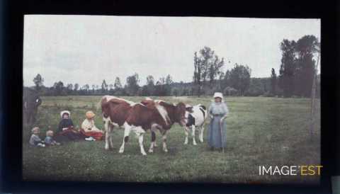 Scène dans un pré (Meurthe-et-Moselle)