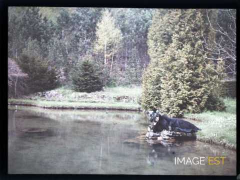Femme au bord de l'eau (Champigneulles)