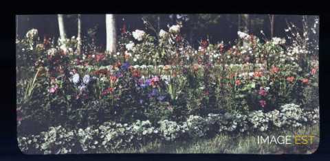 Parterre de fleurs