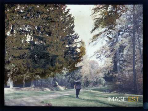 Chasseur en forêt (Meurthe-et-Moselle)