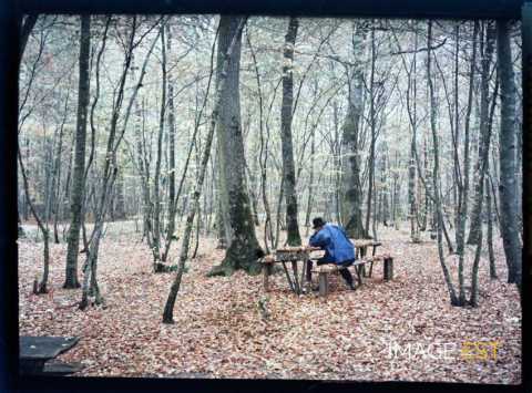 Homme en forêt  (Brin-sur-Seille)