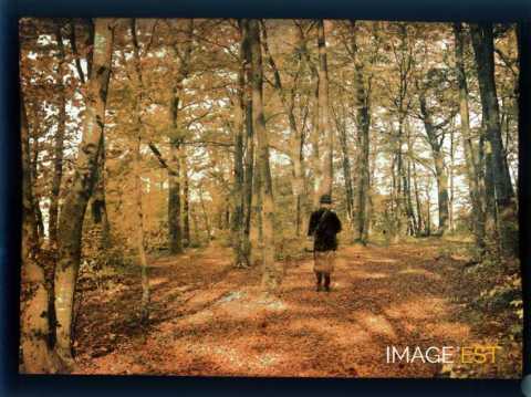 Homme en forêt (Meurthe-et-Moselle)