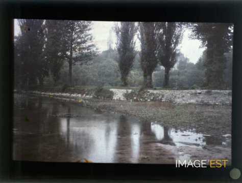 Cours d'eau (Bayon)