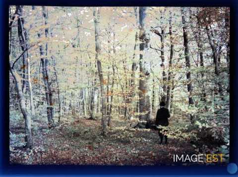 Homme en forêt (Meurthe-et-Moselle)