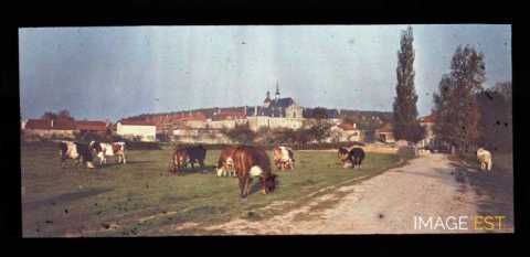 Bosserville (Art-sur-Meurthe)