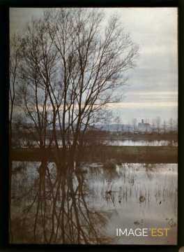 La Meurthe (Tomblaine)