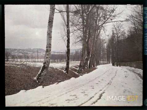 Paysage enneigé (Meurthe-et-Moselle)