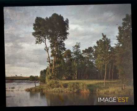 Rive d'un cours d'eau (Meurthe-et-Moselle)