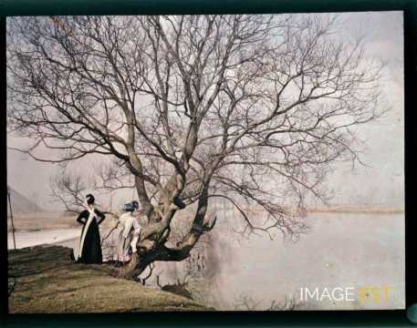 Femmes près d'un arbre (Meurthe-et-Moselle)
