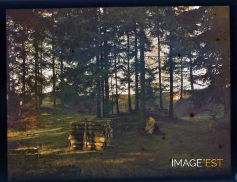 Femme en forêt (Meurthe-et-Moselle)