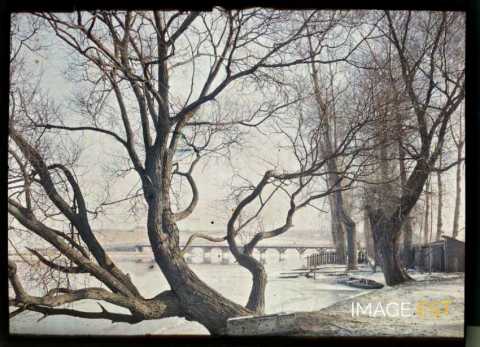 Paysage hivernal (Meurthe-et-Moselle)