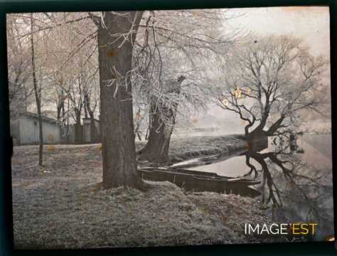 Paysage hivernal (Meurthe-et-Moselle)