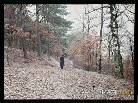 Homme sur un sentier (Meurthe-et-Moselle)