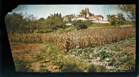 Un potager et un verger (Essey-lès-Nancy)