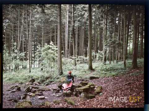 Femme en forêt (Meurthe-et-Moselle)