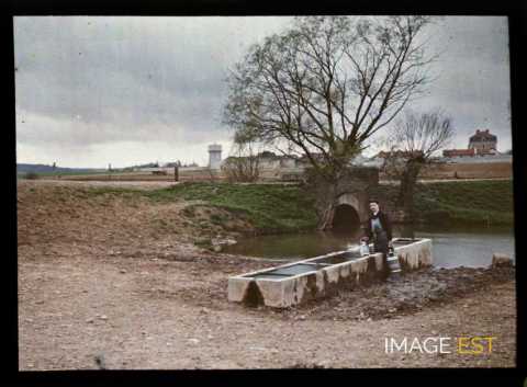 Homme près d'un lavoir (Vandoeuvre-lès-Nancy)
