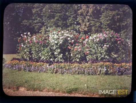 Parterre de fleurs (Meurthe-et-Moselle)