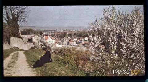 Femme au bord d'un sentier (Nancy)