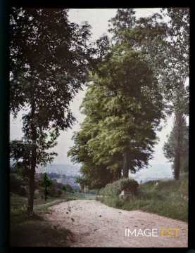 Sentier bordé d'arbres (Villers-lès-Nancy)