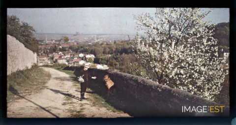 Enfant et chien sur un sentier (Nancy)