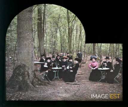 Terrasse en forêt (Meurthe-et-Moselle)