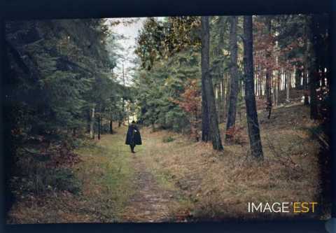 Promeneur en forêt (Meurthe-et-Moselle)