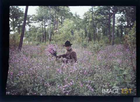 Homme cueillant des fleurs (Meurthe-et-Moselle)
