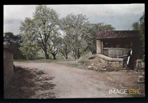 Paysage rural (Meurthe-et-Moselle)