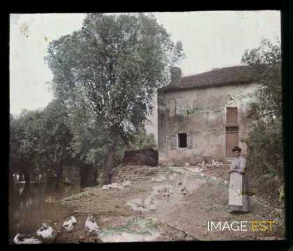 Femme près d'une marre (Meurthe-et-Moselle)