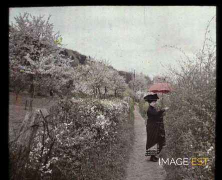 Femme sur un sentier (Maxéville)