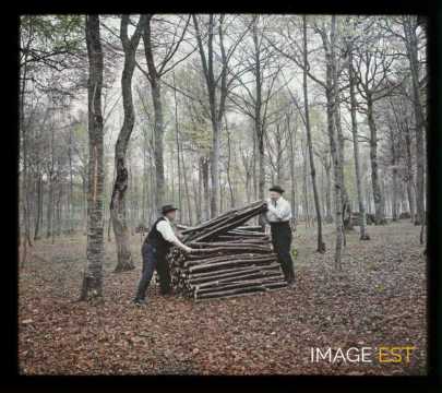 Hommes en forêt (Meurthe-et-Moselle)