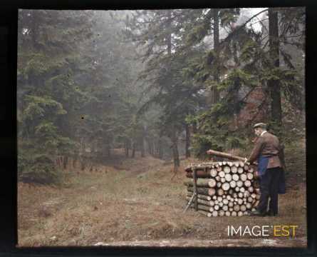 Homme en forêt (Meurthe-et-Moselle)