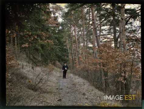 Homme sur un sentier (Meurthe-et-Moselle)